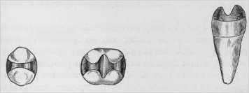 Compound Cavities